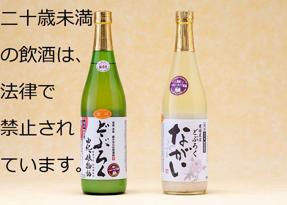 60161c1cc19c45243d087a11