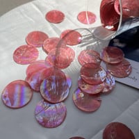 カピスシェル (pink Cherry)5個