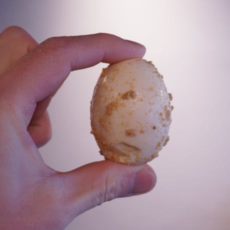 茹でたまごのぬか漬け（２個入り）