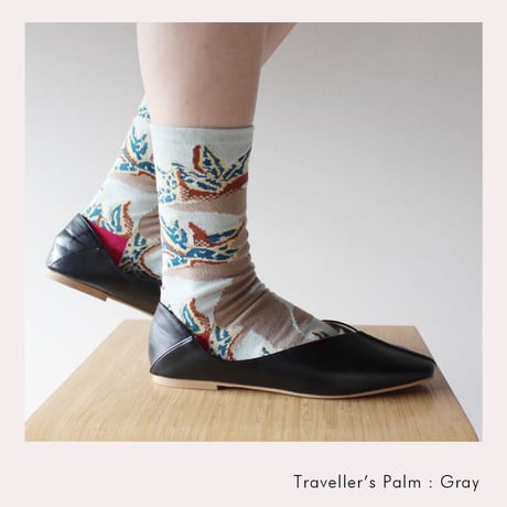 BS05 ボタニカソックス（タビビトノキ/Traveller’s Palm）