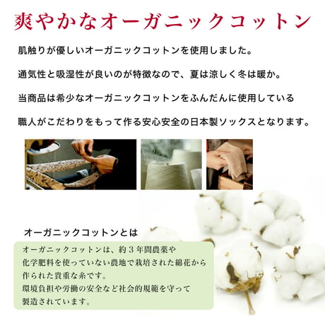 KS10/11　くちゴムなしのしめつけない靴下(綿混リブ 24-26cm)