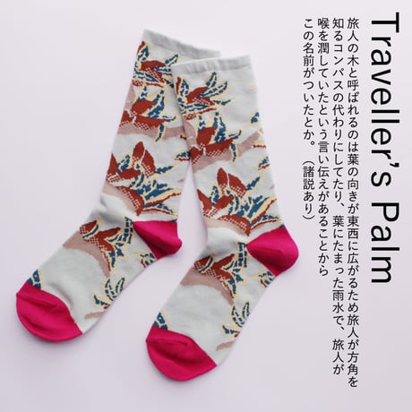 BS05 ボタニカソックス（タビビトノキ/Traveller’s Palm）