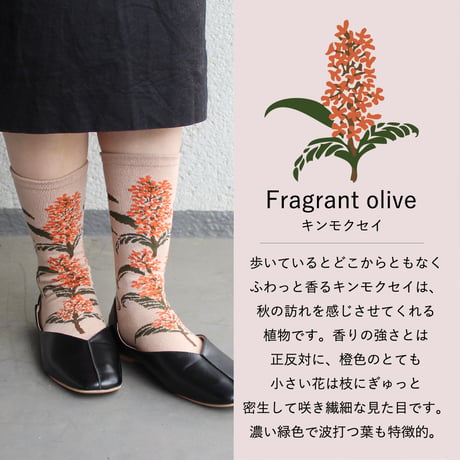 BS07 ボタニカソックス（キンモクセイ/Fragrant olive）