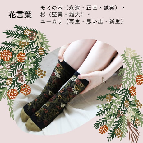 BS08 ボタニカソックス（モミの木のスワッグ/Fir tree swag）