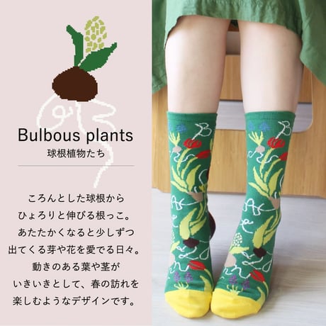 BS01 ボタニカソックス（バルバスプランツ/Bulbous plants）
