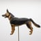 ジャーマン・シェパード (German Shepherd)