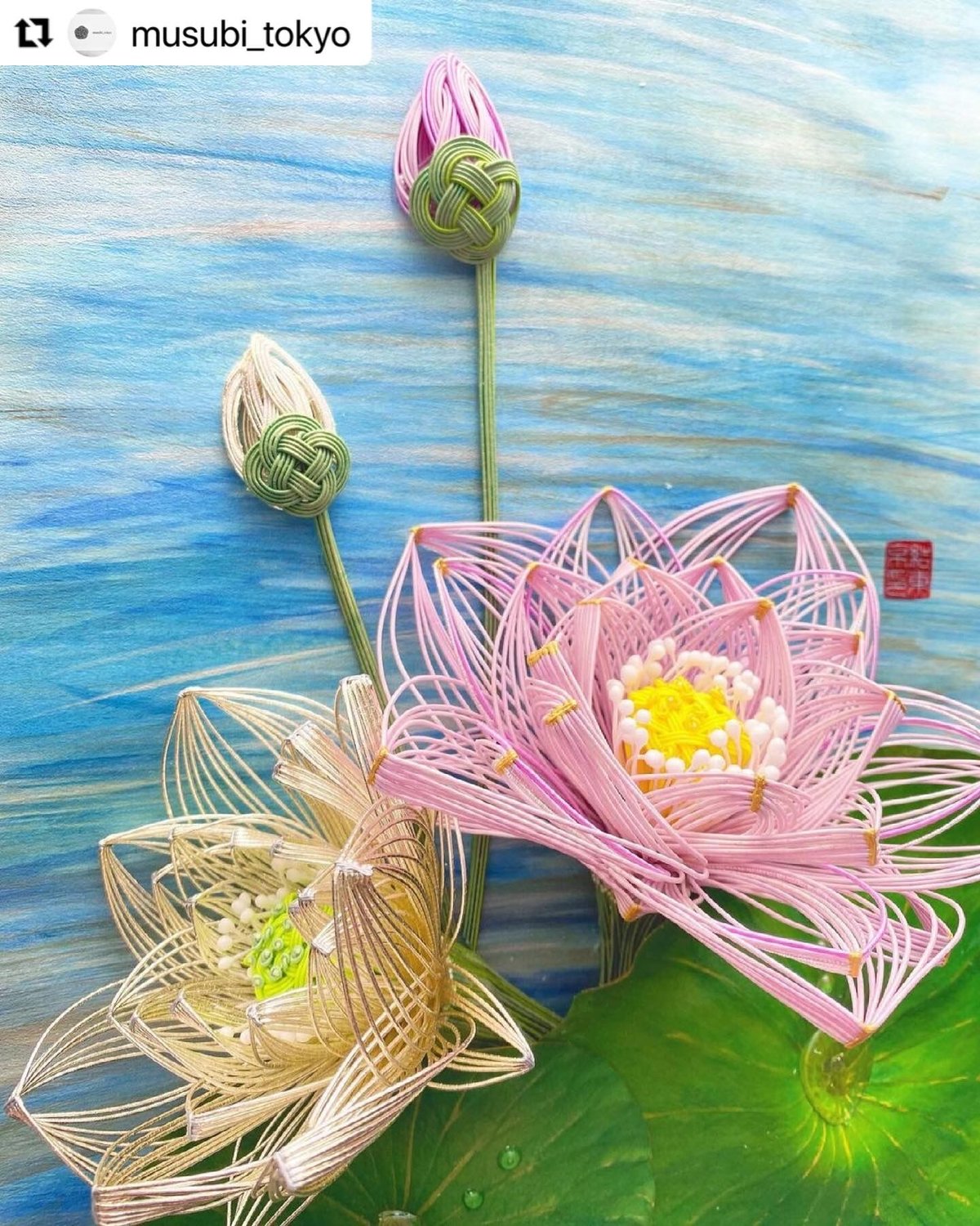 古代蓮と銀蓮 | musubitokyomizuhiki's STORE