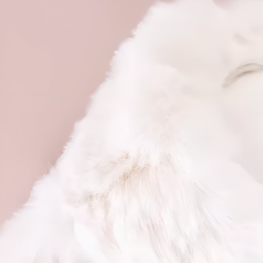 65caf3ea3ffd8e0001224d70