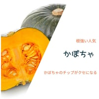 ＊期間限定【かぼちゃ】日置ノ発酵グラノーラ