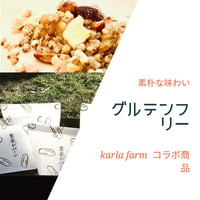 【グルテンフリー】日置ノ発酵グラノーラ