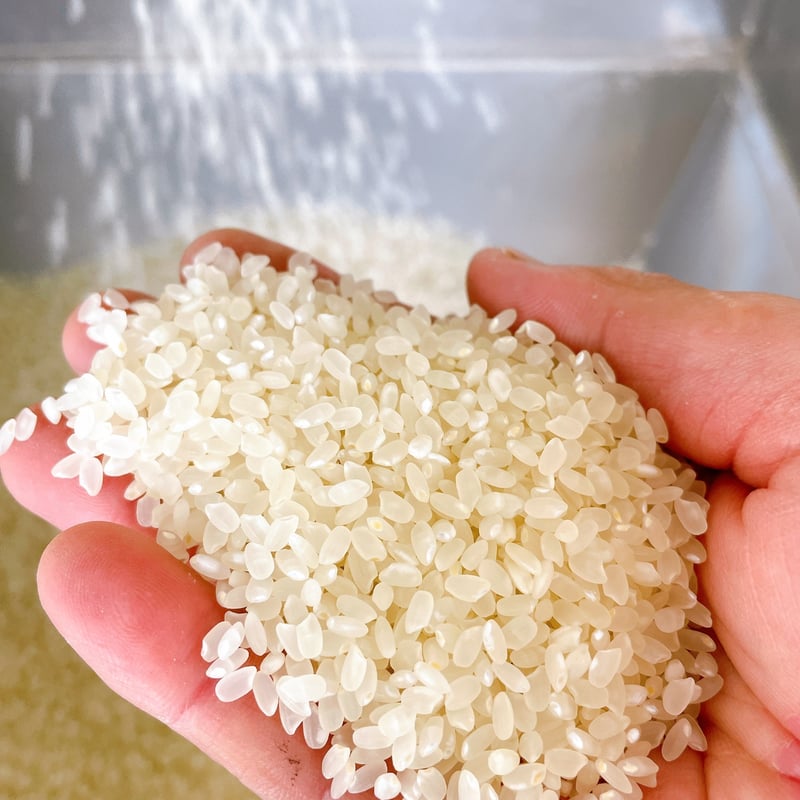 予約販売]白米5kg「にじのきらめき：日置スペシャルブレンド米