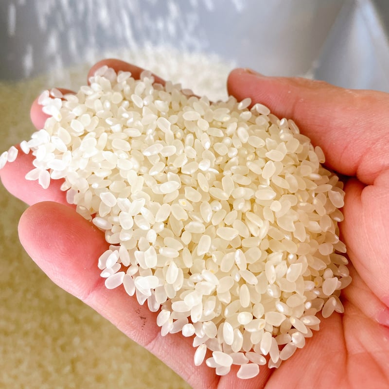 予約販売]白米10kg【コシヒカリ】日置ノ庄 | 日置オンラインショップ