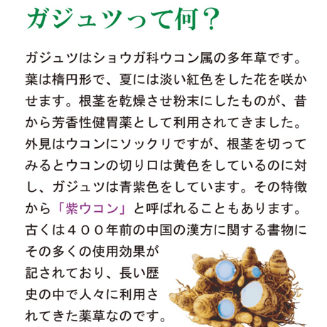 和草堂純莪述 粉末 容器入 190g