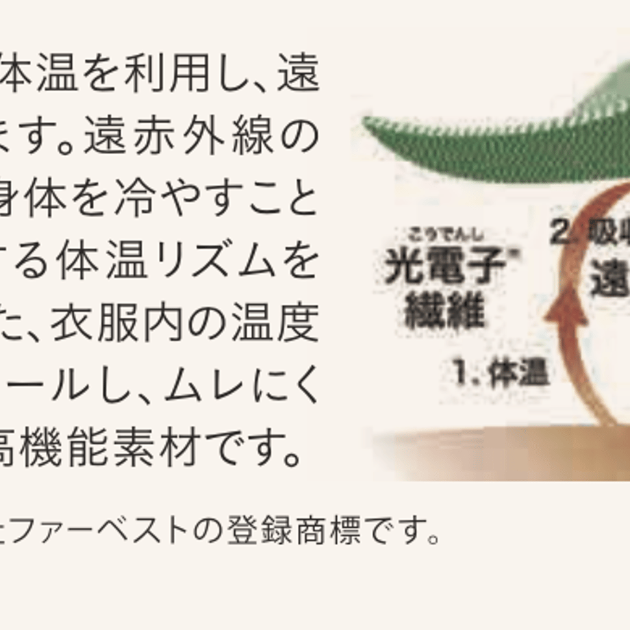 62361637d085ee66a528a920