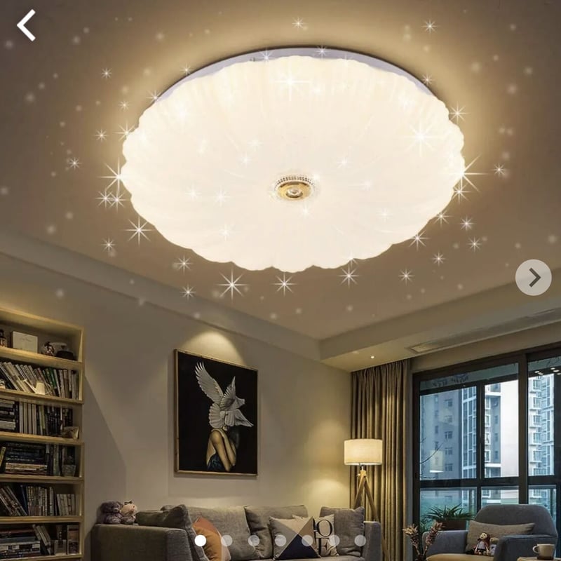 星空シーリングライト | JAPAN ALLSTAR FD STORE