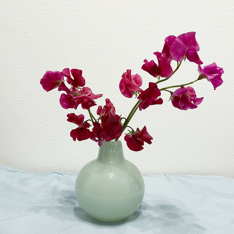 フラワーベース　まとめ DutZフラワーベース イゴール13メンソール | Lynn flowers