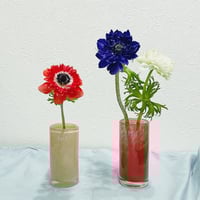 DutZフラワーベース シリンダーレッド11 | Lynn flowers