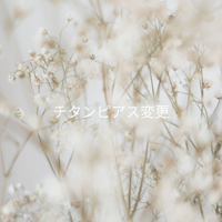 金具チタンピアス変更