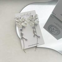 New aurora flower