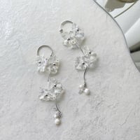 silver aurora double flower
