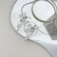 clear aurora dome silver