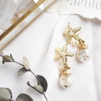 *startfish × shell glass ピアス/イヤリング*