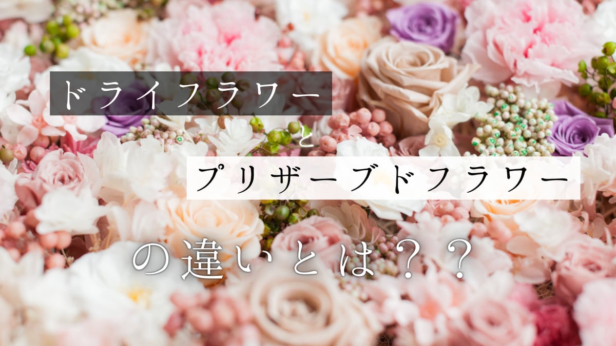 プリザーブド フラワー ドライ フラワー 違い