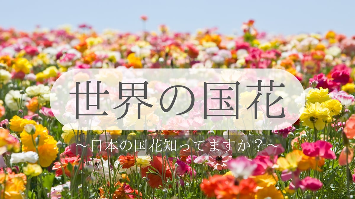 国 の 花 日本
