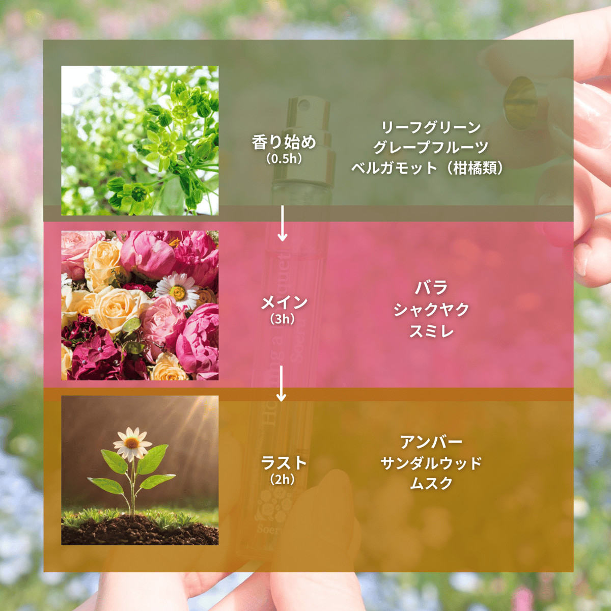 お花屋さんの香り「Holding a bouquet」（香水9ml） | Soeru 手のひら