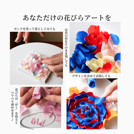 花びらアート 制作セット