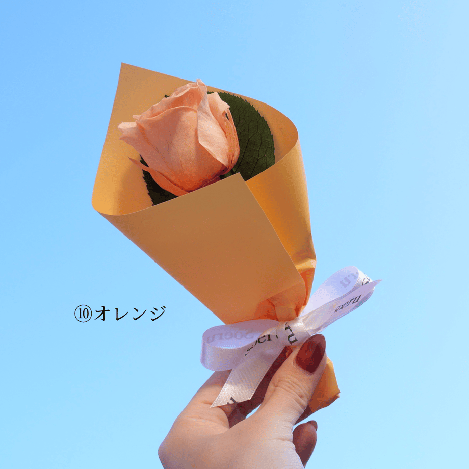 691d87050f090c363904e452