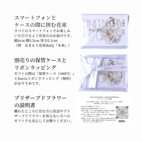 夏爽快、おまもり花束Baby『カノン』