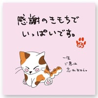 【メッセージティー】感謝のきもちでいっぱいです。(みたらしちゃん）