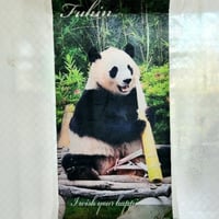 大人気！【みにたぺしゅとりー】「タケノコふう」(楓浜・ミニタペストリー）