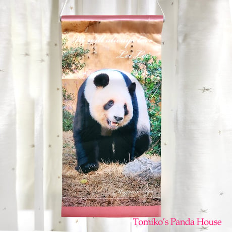 【パンダ】だっこシャオレイ♡怪獣＆うさぎ変身コスチューム＆缶バッチリース CATEGORY パンダ | Tomiko's Panda House