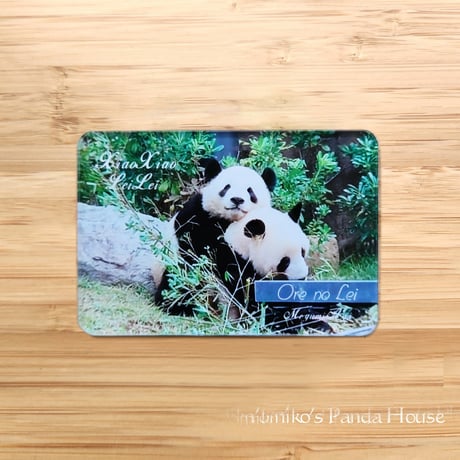 さきパンダ商品です♪ VANS スニーカー VANS SKATE AUTHENTIC （BLACK SPLATTE