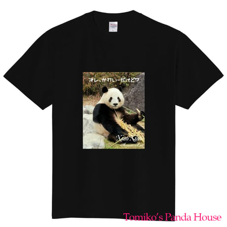 CATEGORY パンダ | Tomiko's Panda House