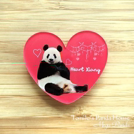 Tomiko's Panda House