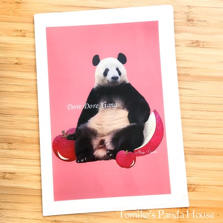 CATEGORY パンダ | Tomiko's Panda House