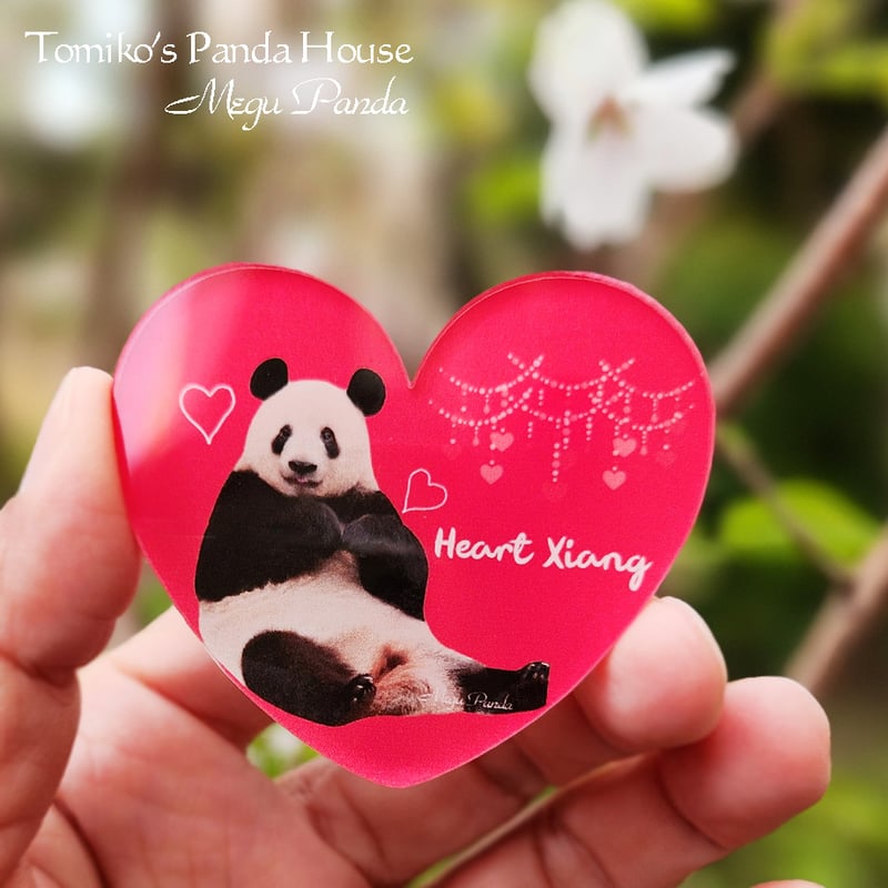 超人気!【あくりるばっじぃ】「Heart Xiang」(ハートシャン・アクリル