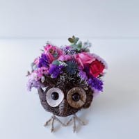 ドライフラワーになるフクロウアレンジメント