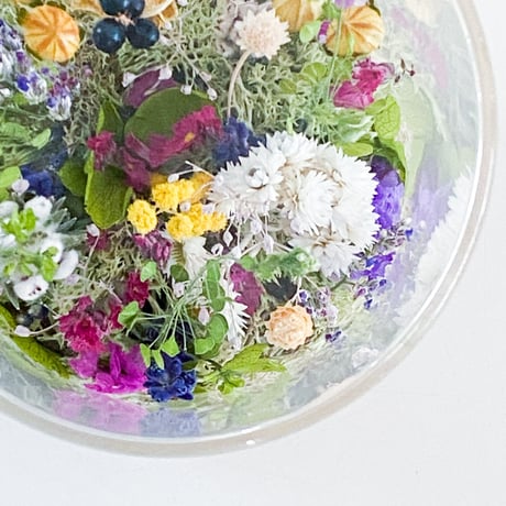 プリザーブドフラワーとドライフラワーの花畑