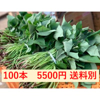 さつまいも苗（べにはるか、完全無農薬）　100本