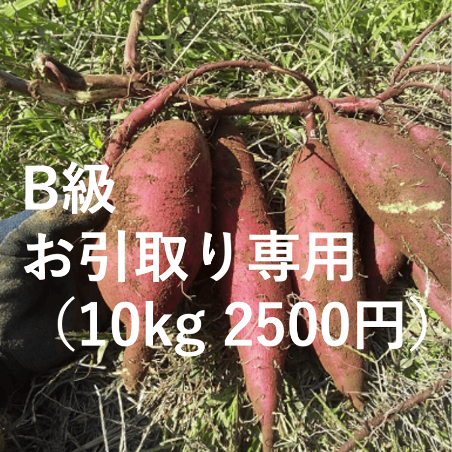 6742ed932d349618d668ea4a