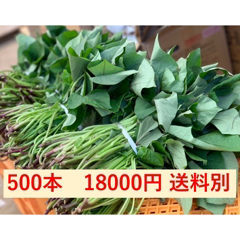 678e3f302a10e4053addf88a
