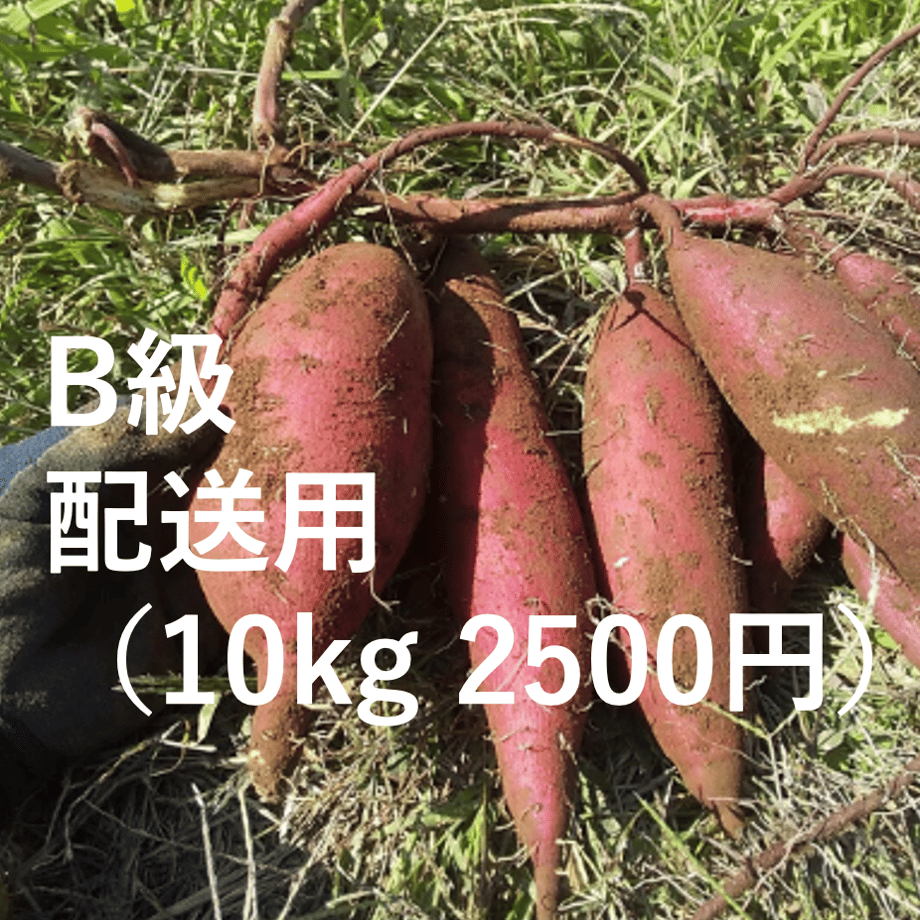 6742ee132d349618d668ea87