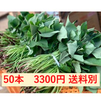 さつまいも苗（べにはるか、完全無農薬）　50本