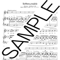Sebben,crudele d-moll ニ短調