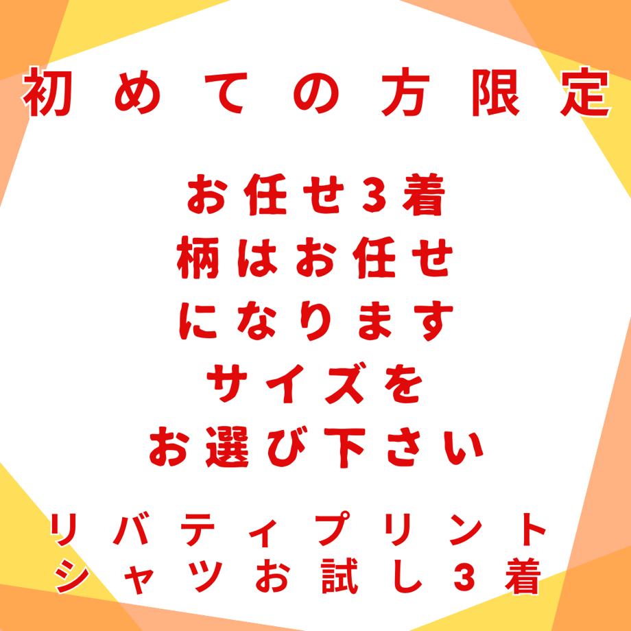6773a4b5a12191729ffd256b