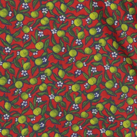 LIBERTY FABRICS  NO119. リバティプリント リバティ リバティシャツ   ドレスシャツ  ＜Lemon Grove レモン・グローブ＞